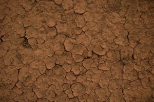 Dry Earth