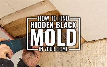 Inspect for mold in a home