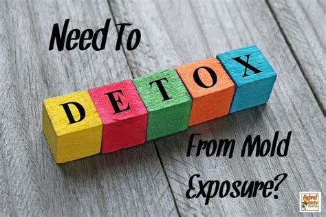 Detoxing from mold